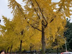 -四川大学(望江校区)