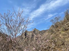-圣莲山风景区