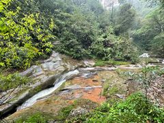 -碧峰峡风景区