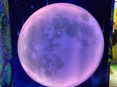 -梵高星空艺术馆(北京旗舰店)