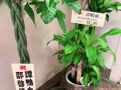 -谭鸭血老火锅(日本东京店)