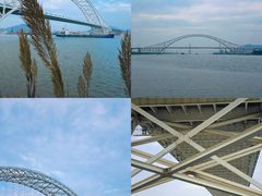 -芒洲湿地公园