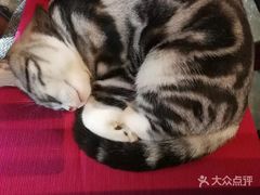-咖法森林·咖啡  酒吧(天河店)