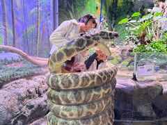 -正佳雨林生态植物园