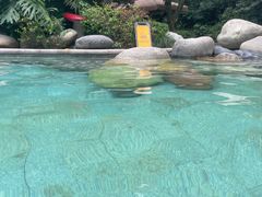 -青城道汤池