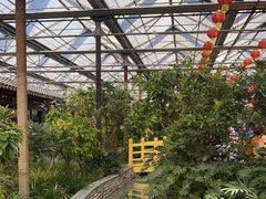 -南宫五洲植物乐园