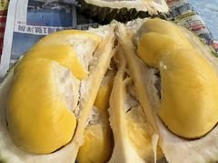-油麻地果栏