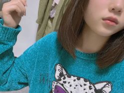 -艾嘉形象