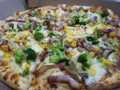 pizza-达美乐比萨(国瑞北路店)