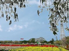 -盈香心动乐园