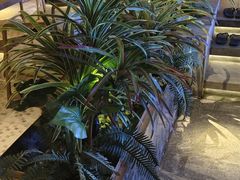 -浅深(北京北四环精品店)