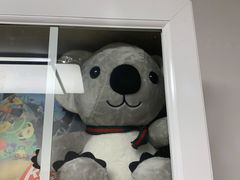 -PAWTOY爪e玩偶店(天兴罗斯福店)