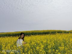 -光明小镇欢乐田园