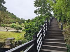 -桃花岭景区
