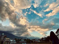 -喵屿·大理花园猫咖