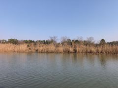 -东湖落雁景区