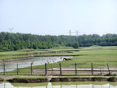 -溱湖国家湿地公园