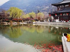 -华清宫景区