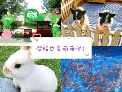 -萌宠亲子动物乐园(槐房万达店)