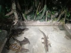 -乌鲁木齐海洋馆