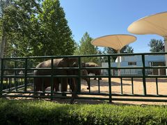 -秦皇岛野生动物园