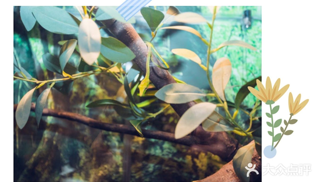 六一出行打卡好去处