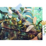 六一出行打卡好去处