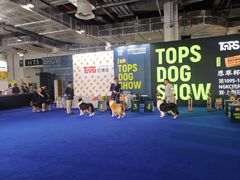 -东浩兰生上海世博展览馆