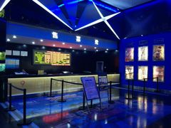 android_upload_pic-奥斯卡新都汇影城(终级银幕)