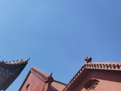 -长沙黑麋峰国家森林公园