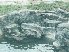 -深圳野生动物园