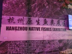 -江和美海洋公园