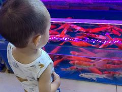 -三旗百汇商品城