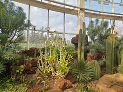 -昆明植物园