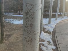 -森林公园(尖草坪区)