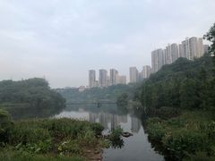 -重庆彩云湖湿地公园