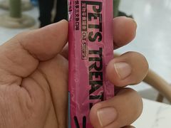 -喵园·猫主题咖啡厅·撸猫·猫咖(国贸店)