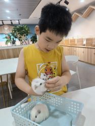 -Moni星球萌宠·小马宝莉·灵蛇·高端高阶全萌宠互动体验俱乐部(红豆国际广场店)