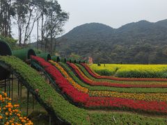 -广州市石门国家森林公园
