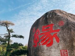 -海上花岛玫瑰园采摘