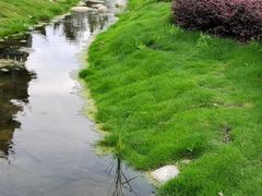 -盒马鲜生(首义店)