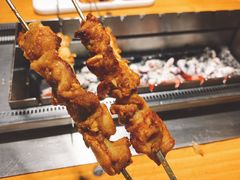 -牛上牛吊炉烧烤(红旗大街店)