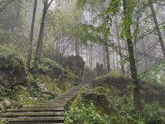 -山王坪喀斯特国家生态公园
