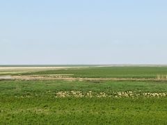 -湖南东洞庭湖国家级自然保护区