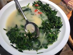 鸽汤万年青-大鸽饭(岗顶店)