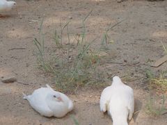 -峄山风景名胜区
