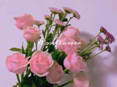 -海逸餐厅·象山海鲜