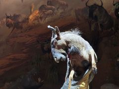-武汉园博园(武汉自然博物馆)
