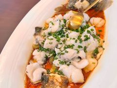 -碧丽宫大酒店(召稼楼店)