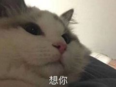 -优衣库(苏州天虹CCMall石路店)